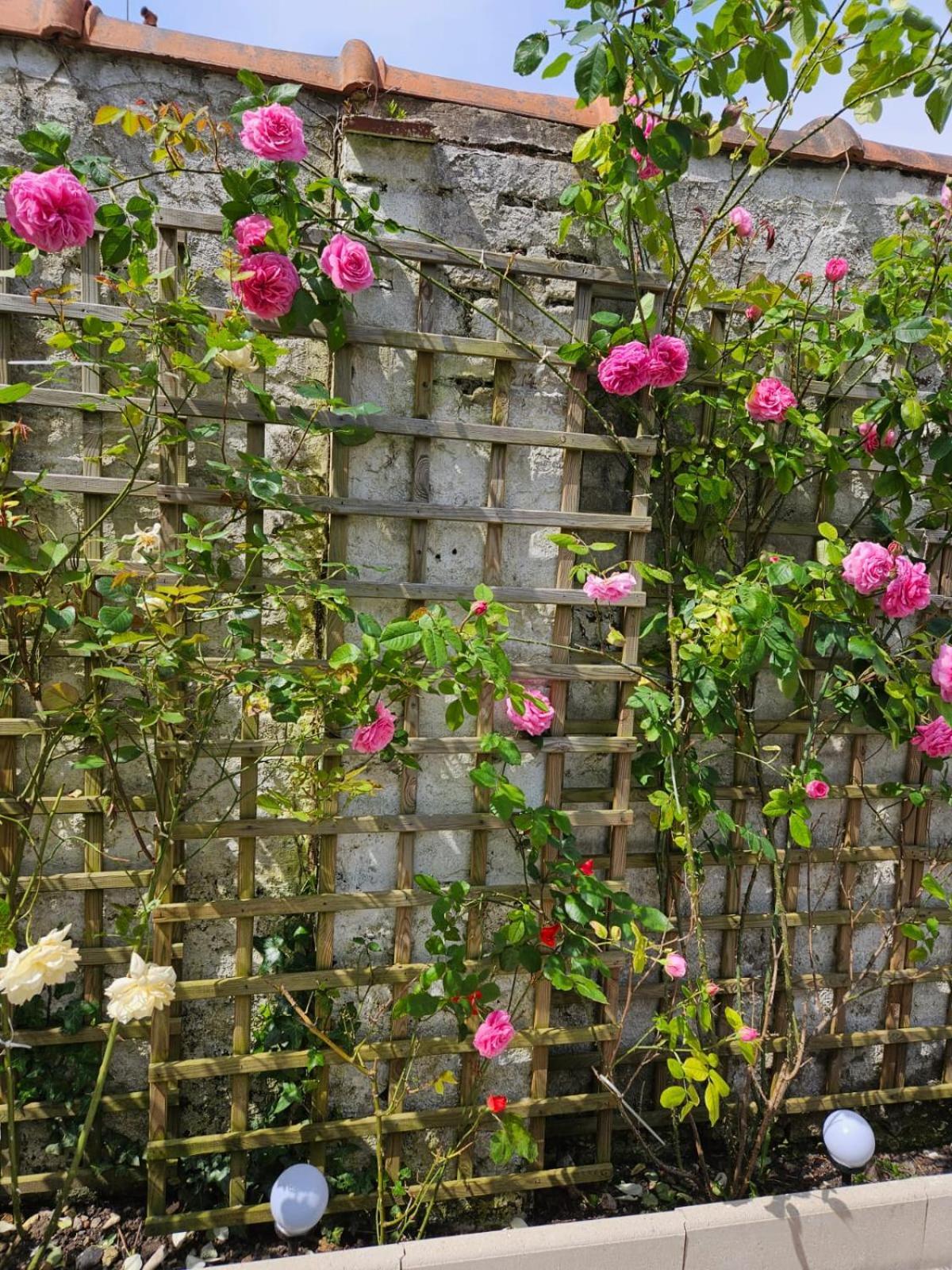 Studio Avec Jardin Rosendael Proche Plage Дюнкерк Экстерьер фото